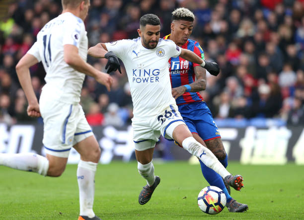 的明日之星 的明日之星